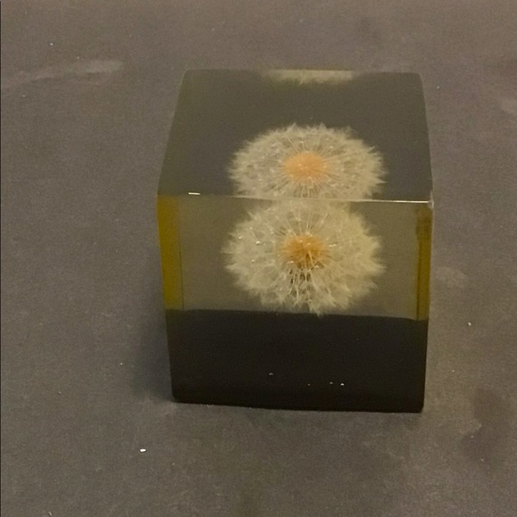 Mid century Gump’s Natural plant paper weight